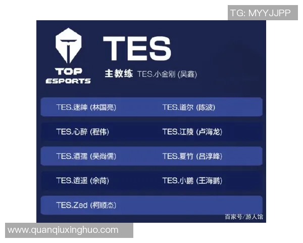 TES战术深度解析：王者荣耀中的策略与团队协作探讨