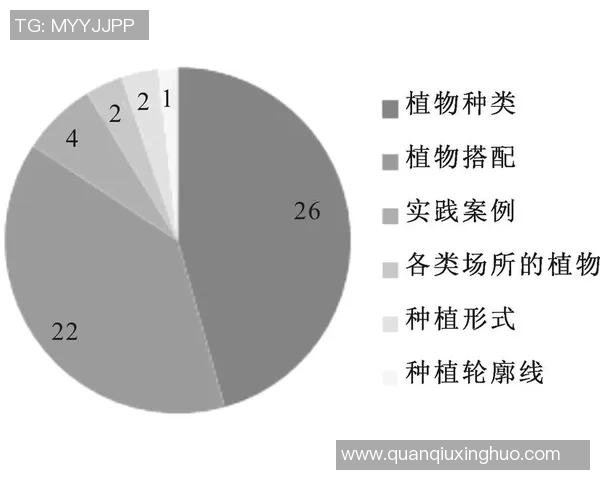 北京网球队边路渗透新策略探讨与实践成效分析