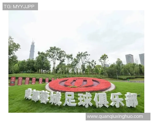 成都足球队状态分析：近期表现与未来展望的全面解读