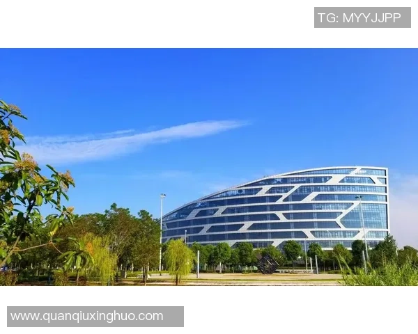 武汉街舞队心理素质探讨：舞动心灵与团队协作的力量