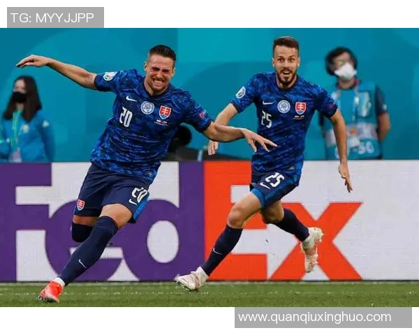 006德国对阵北爱尔兰的精彩较量回顾与分析